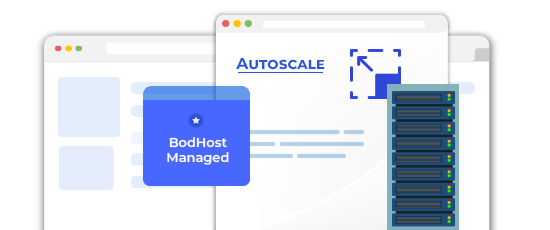 cPanel