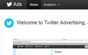 Analytics for Twitter Ads