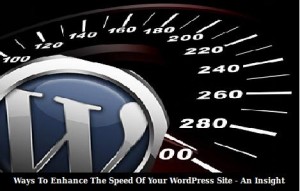 wordpress, website speed, web hosting, wordpress website