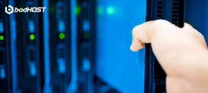 Dedicated Server Hosting