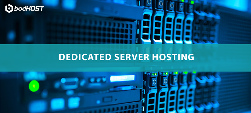 dedicated server hosting