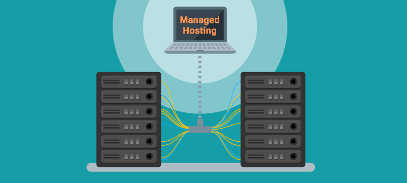 managed hosting for small business