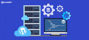 Website Migration