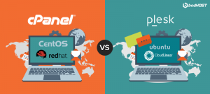 OPERATING SYSTEMS, cPanel vs Plesk