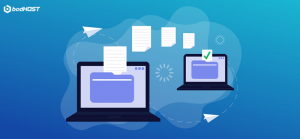 Website Migration