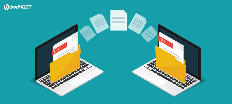 Website Migration