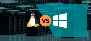 windows-linuxvps-comparison