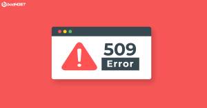 509 error