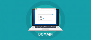 Domain Web hosting