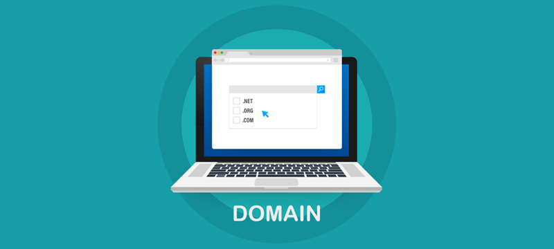 Domain Web hosting
