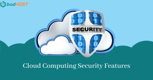 Cloud Computing Security