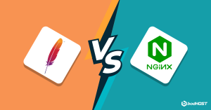 Apache-Vs-NGINX-Which-Is-The-Best-Web-Server-for-You-SOCIAL