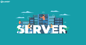 How Server Hosting Services Transformed These 3 Industries-SOCIAL