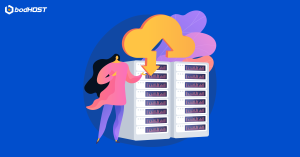 Backup-Solutions-Landscape-bodhost