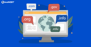 Expired-Domains-and-Why-They-Matter-in-SEO