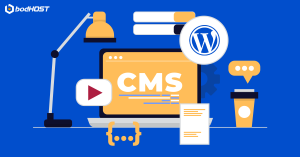 WordPress-6-6