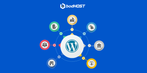 7-Top-WordPress-Plugins-for-Hosting