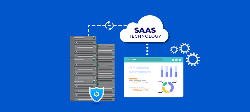 Web Hosting for SaaS Platforms