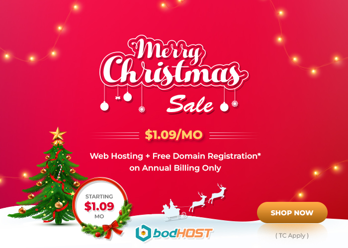 Christmas Sale