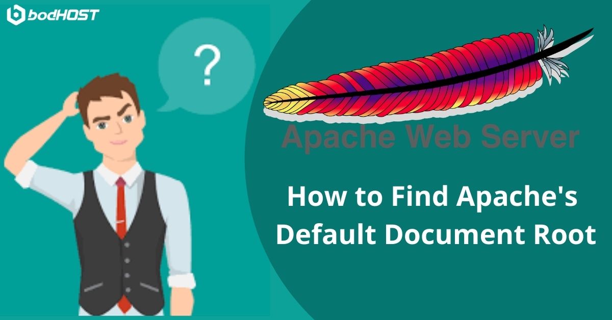 Where is Apache's Default Document Root Directory?