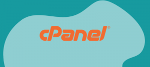 cPanel account user interface