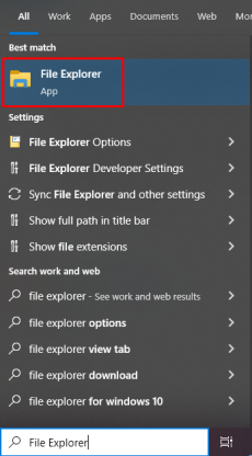 File Explorer-1