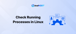 Check Running Processes in Linux