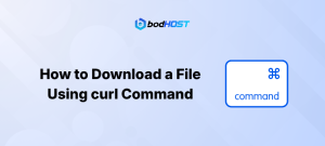 How to Download a File Using curl Command