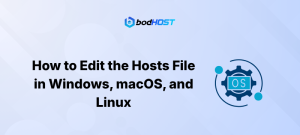 How to Edit the Hosts File in Windows, macOS, and Linux