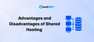 Advantages and Disadvantages of Shared Hosting