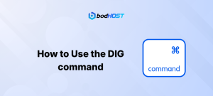 How to Use the DIG command