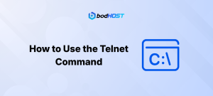 How to Use the Telnet Command