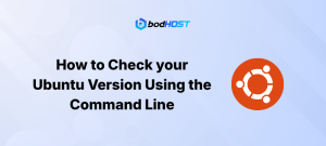 How to Check your Ubuntu Version Using the Command Line