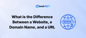 What is the Difference Between a Website, a Domain Name, and a URL