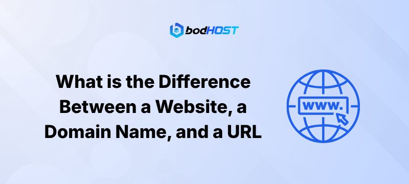 What is the Difference Between a Website, a Domain Name, and a URL