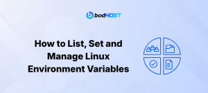 How to List, Set and Manage Linux Environment Variables