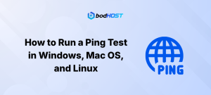 How to Run a Ping Test in Windows, Mac OS, and Linux