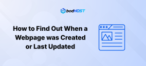 How to Find Out When a Webpage was Created or Last Updated