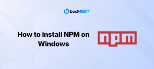 How to install NPM on Windows