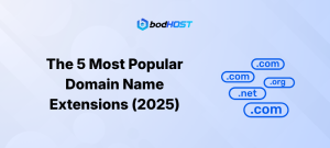 The 5 Most Popular Domain Name Extensions (2025)
