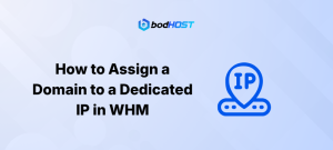 How to Assign a Domain to a Dedicated IP in WHM