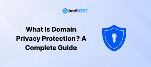 What Is Domain Privacy Protection? A Complete Guide