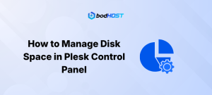 How to Manage Disk Space in Plesk Control Panel
