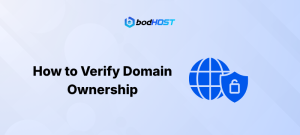 How to Verify Domain Ownership