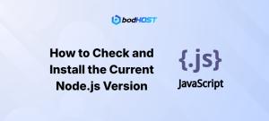How to Check and Install the Current Node.js Version