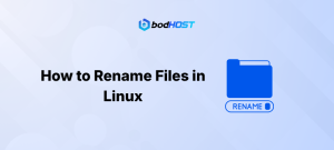 How to Rename Files in Linux