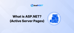 What is ASP.NET? (Active Server Pages)