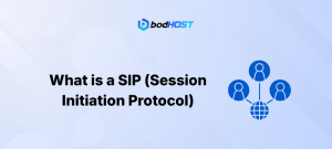 What is a SIP (Session Initiation Protocol)
