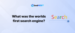What was the worlds first search engine?