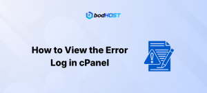 How to View the Error Log in cPanel